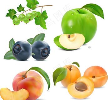 水果矢量素材图片