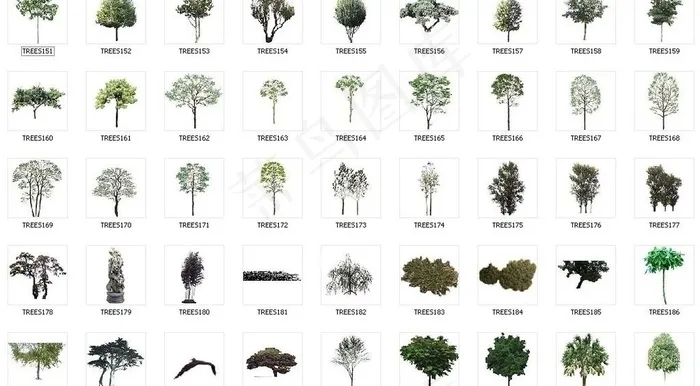 植物素材图片(84X150(DPI:71))psd模版下载