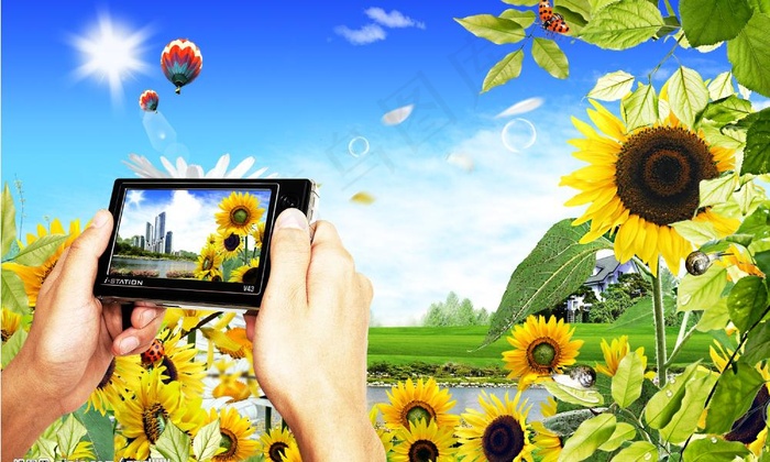 韩国绿色自然模板图片