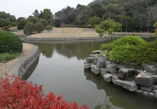 春天的风景图片