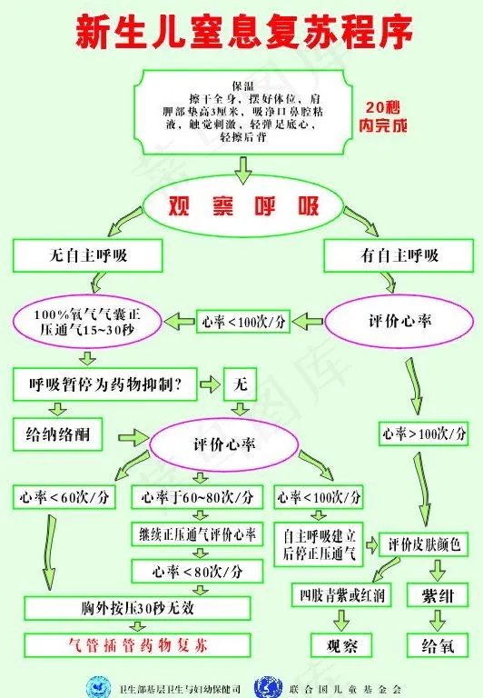 新生儿窒息复苏程序图片cdr矢量模版下载