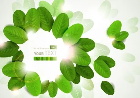 绿色树叶banner设计矢量素材二