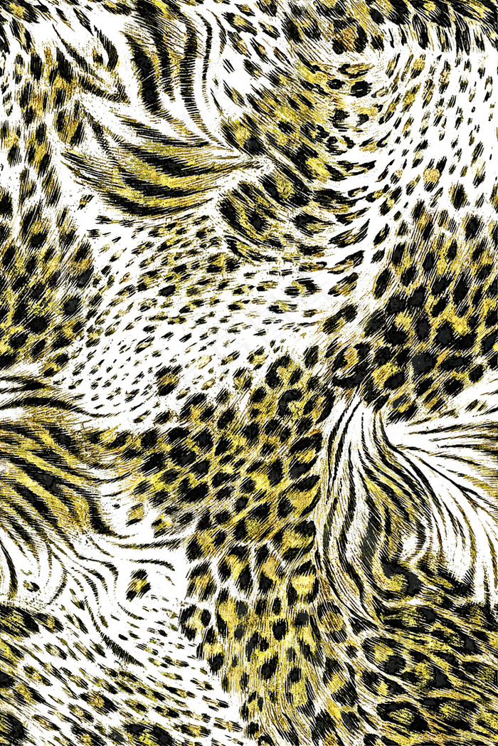 leopard 7