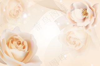 欧式玫瑰简约电视背景墙