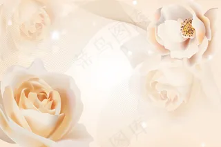 欧式玫瑰简约电视背景墙