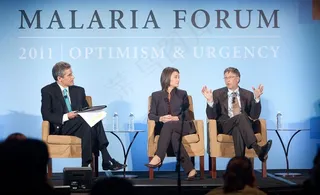 盖茨慈善基金会图片