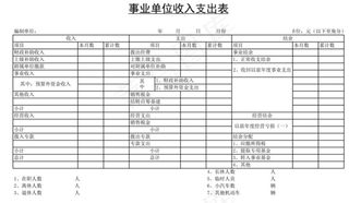 事业单位收入支出表