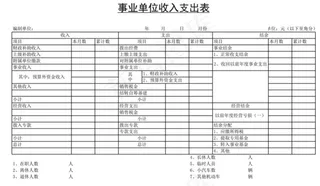 事业单位收入支出表
