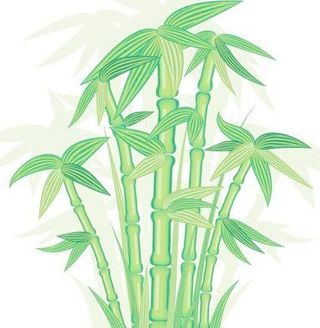 绿色竹子矢量素材