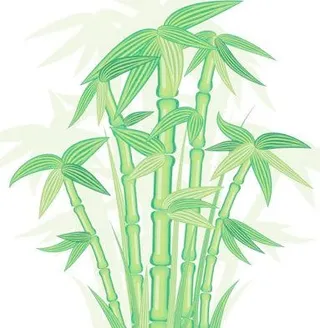 绿色竹子矢量素材