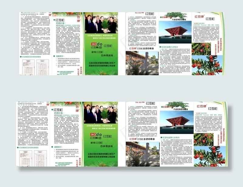 红豆杉图片cdr矢量模版下载