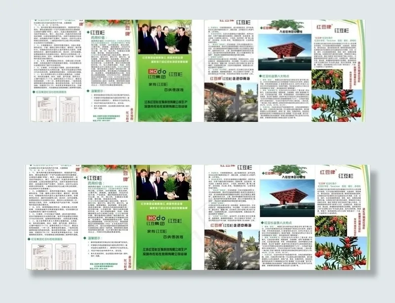 红豆杉图片cdr矢量模版下载