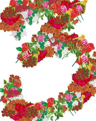 玫瑰花组成的数字3图片