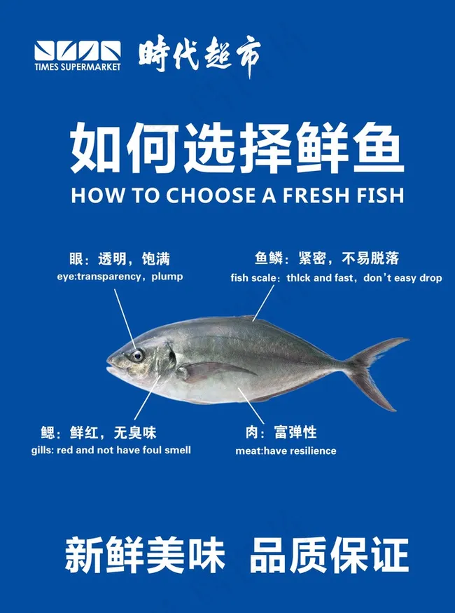 如何选择鲜鱼图片cdr矢量模版下载
