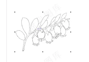 花纹花边
