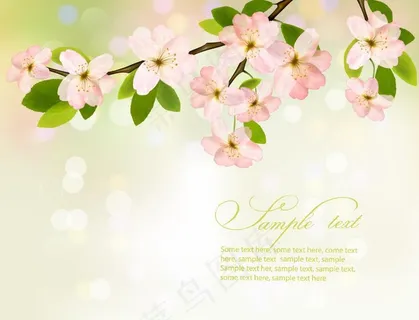 春天的树枝鲜花绿叶图片