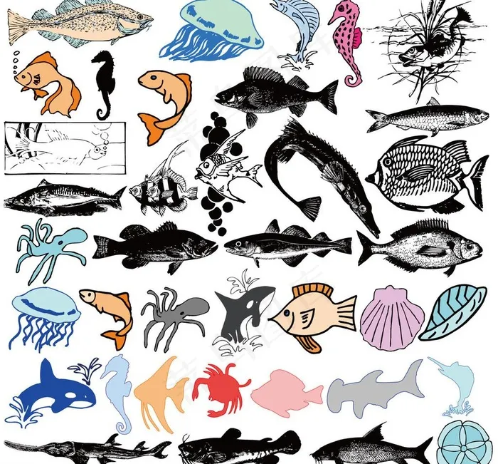 海马水母海鱼海洋鱼类图片ai矢量模版下载