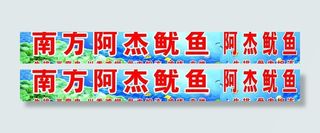 南方阿杰鱿鱼图片