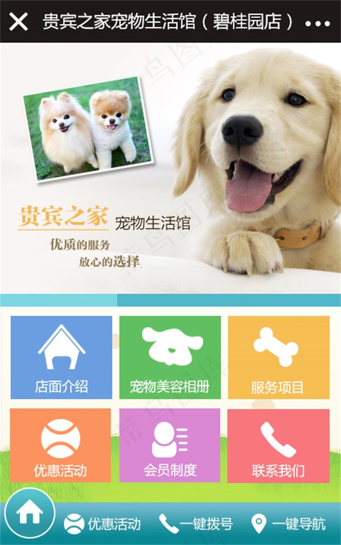 宠物微网psd模版下载