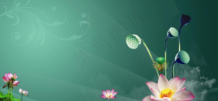 睡莲背景素材图片(4570X2380(DPI:300))psd模版下载