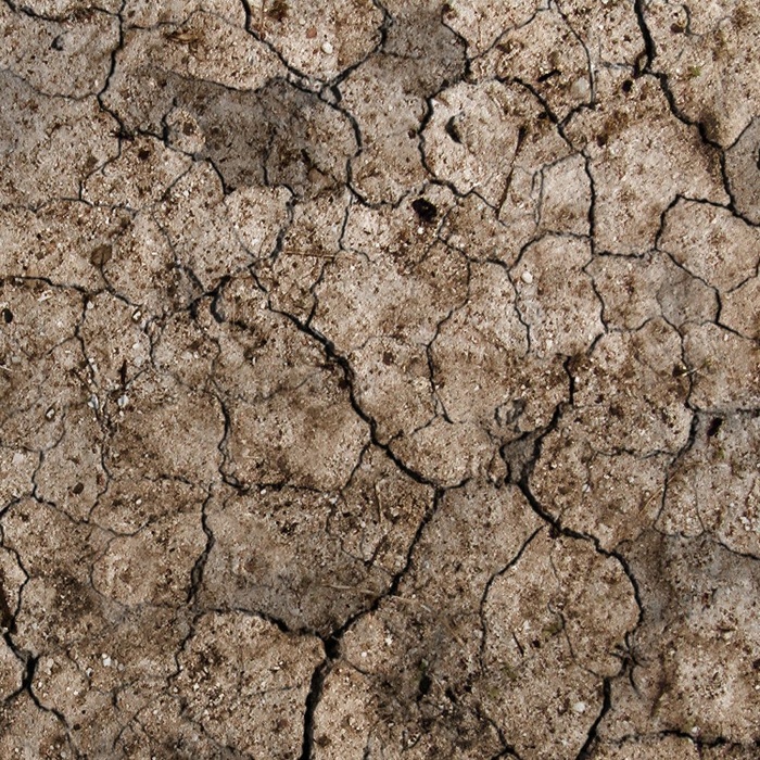 室内绿色植物模型