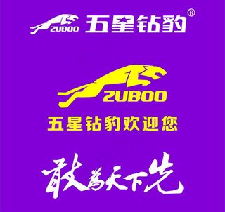 五星钻豹电动车图片