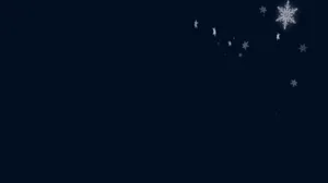 星星