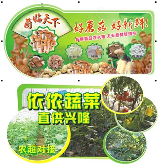 异型蔬菜展板