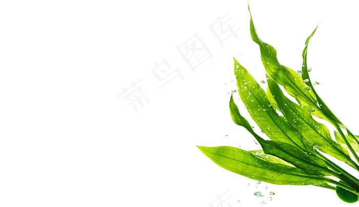 绿色植物设计元素