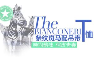 淘宝海报文字排版素材 条纹斑马配吊...