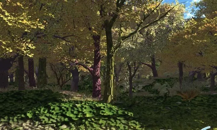 森林场景Forest View i...