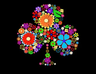 腊梅花包括追求