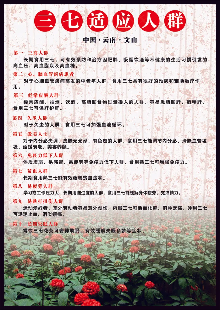 三七适应人群cdr矢量模版下载