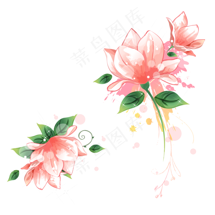 高清彩绘荷花图案PNG