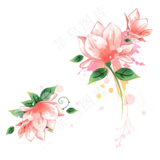 高清彩绘荷花图案PNG