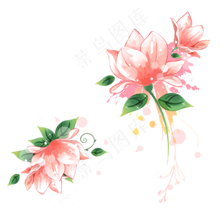 高清彩绘荷花图案PNG