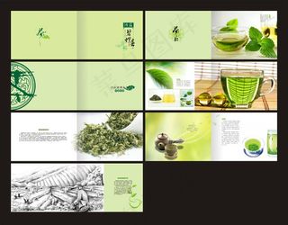清爽茶叶画册设计矢量素材