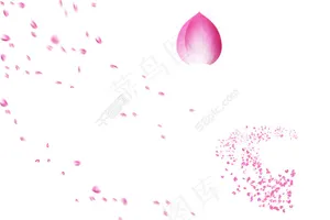 花瓣-粉