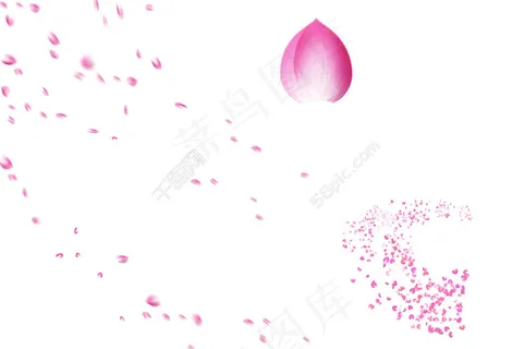 花瓣-粉 花瓣-粉