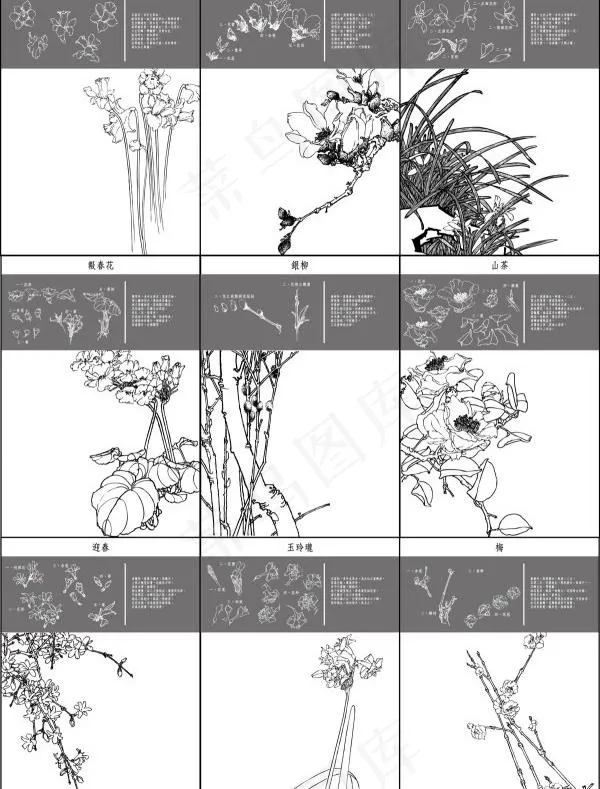 细致的地图1 ~ 10