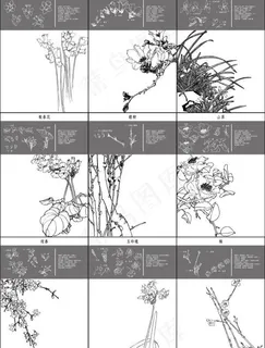 细致的地图1 ~ 10