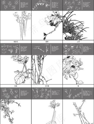 细致的地图1 ~ 10
