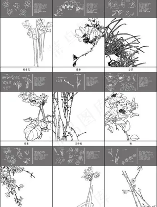 细致的地图1 ~ 10