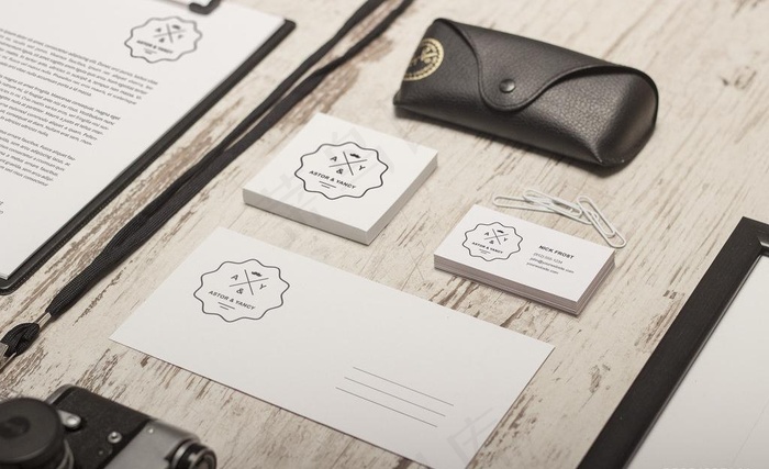 真实逼真vi模板图片