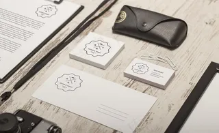 真实逼真vi模板图片