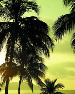 自然景观拍摄图片