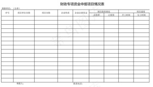 财政专项资金申报项目情况表