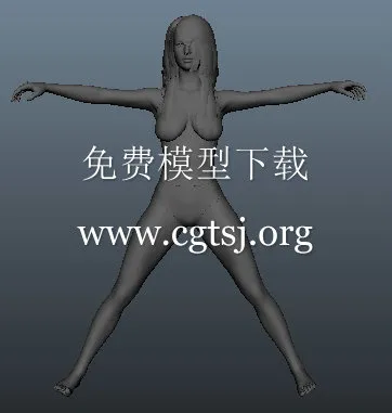 女性人体构造游戏模型