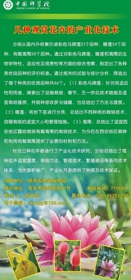 花卉展板图片cdr矢量模版下载