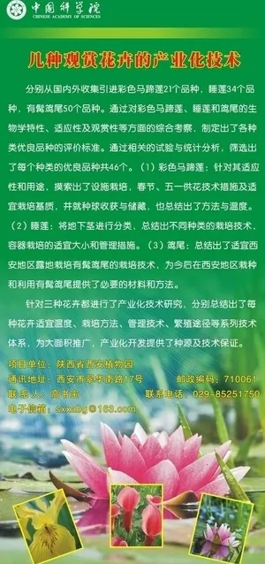 花卉展板图片